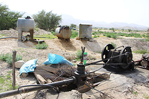 از اغفال زنان تا خودکشی با قرص برنج