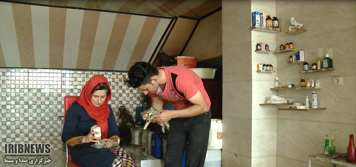 زوج موفق مریوانی+گزارش زوج موفق مریوانی+گزارش