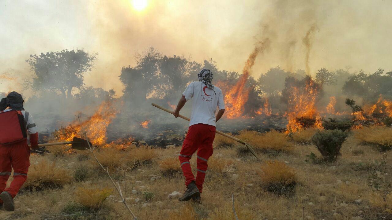 مهار آتش سوزی کوه‌های کوهمره سرخی فیروزآباد