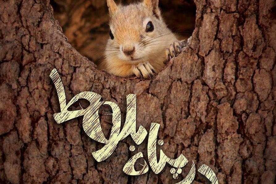 شوالیه طلایی روسیه در پناه بلوط های ایلام شوالیه طلایی روسیه در پناه بلوط های ایلام