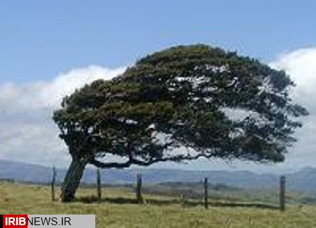 کاهش گرد و غبار در هوای استان تا عصر امروز کاهش گرد و غبار در هوای استان تا عصر امروز