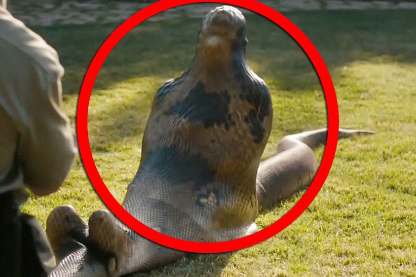 وحشتناک‌ترین اتفاقاتی که ممکن است تجربه کنید!