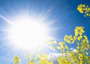 فردا گرمتر از امروز در مازندران