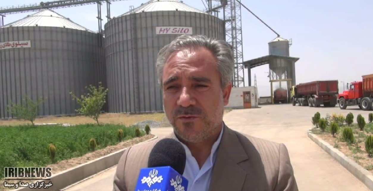 آغاز خرید گندم از کشاورزان آغاز خرید گندم از کشاورزان