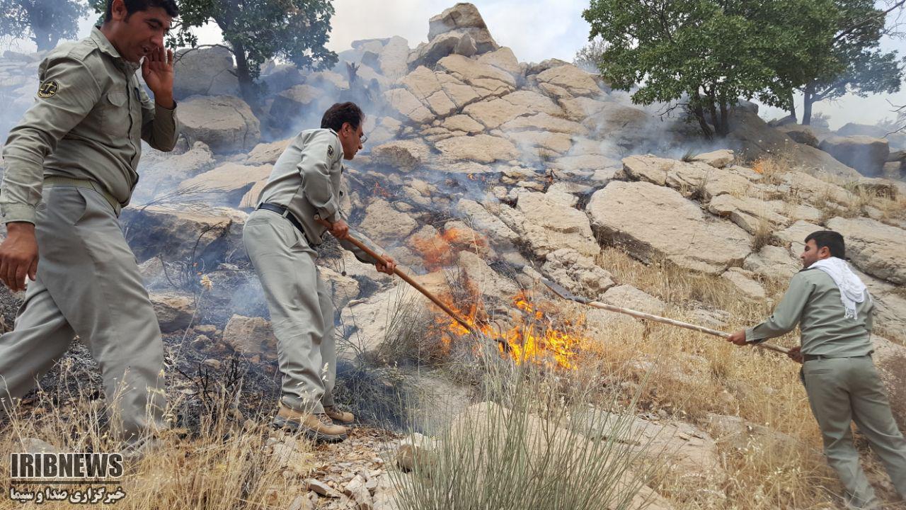 گسترش آتش به سمت منطقه حفاظت شده ارژن-پریشان