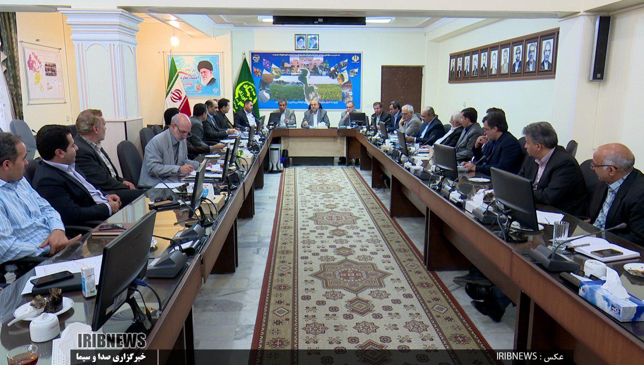 قیمت گوشت مرغ تهدید برای صنعت مرغ آذربایجان شرقی