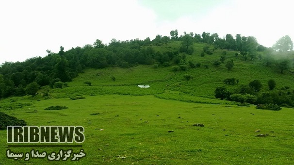 وزش باد شدید ، زنجان