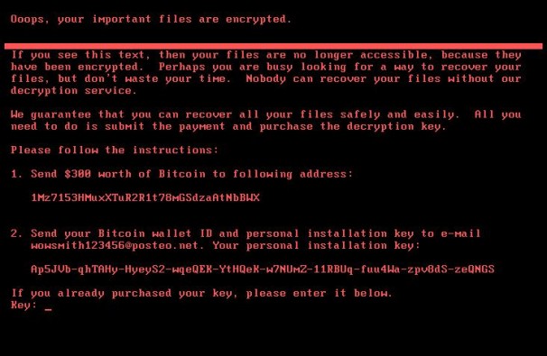 شبکه های رایانه ای سرتاسر جهان دچار اختلال شد