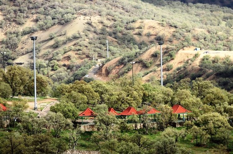 نگینی سبز در شهری سبز