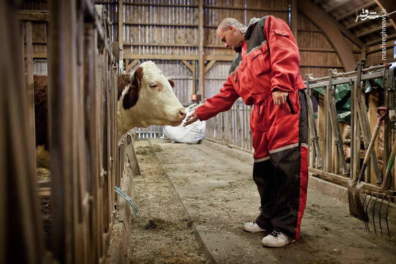 آزادترین زندان دنیا کجاست؟ +عکس