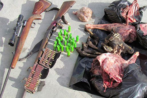 دستگیری متخلف شکار در اردستان