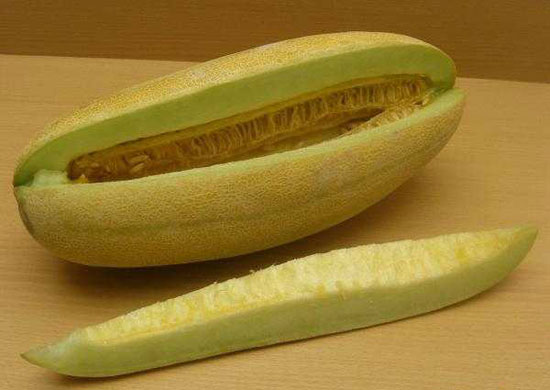 خربزه و دوری از ۱۲ نوع بیماری