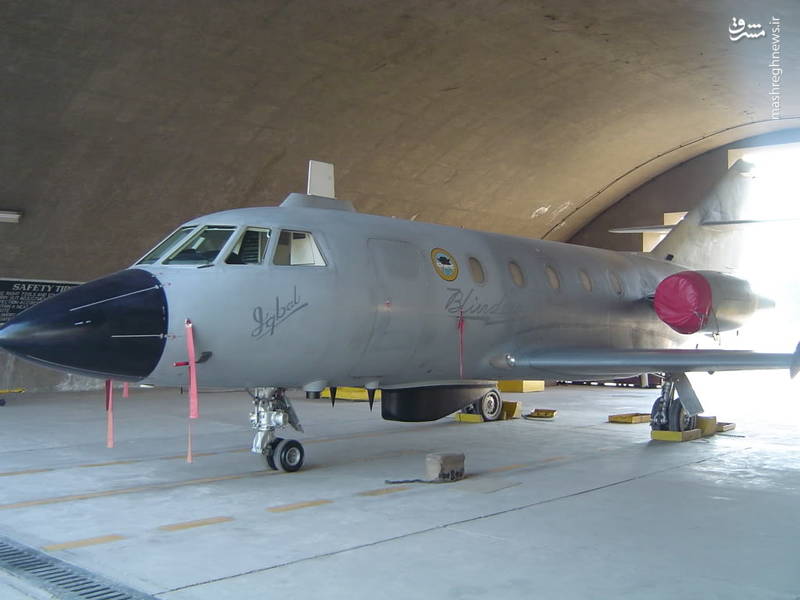 جولان گرگ‌های جاسوس در لباس میش‌های پرنده  +عکس