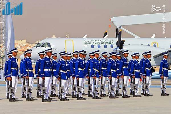 جولان گرگ‌های جاسوس در لباس میش‌های پرنده  +عکس