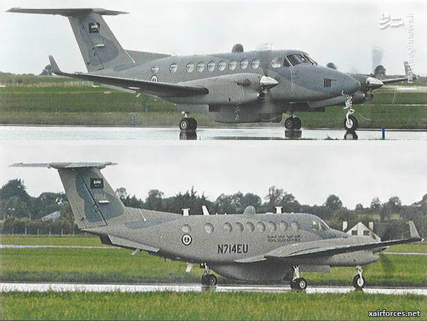 جولان گرگ‌های جاسوس در لباس میش‌های پرنده  +عکس