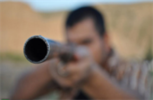 شوخی مرگبار در ریگان