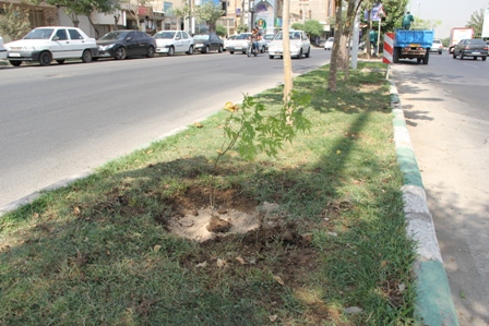 کاشت 20 هزار نهال در بوستان ها و بلوارهای شهر کهریزک