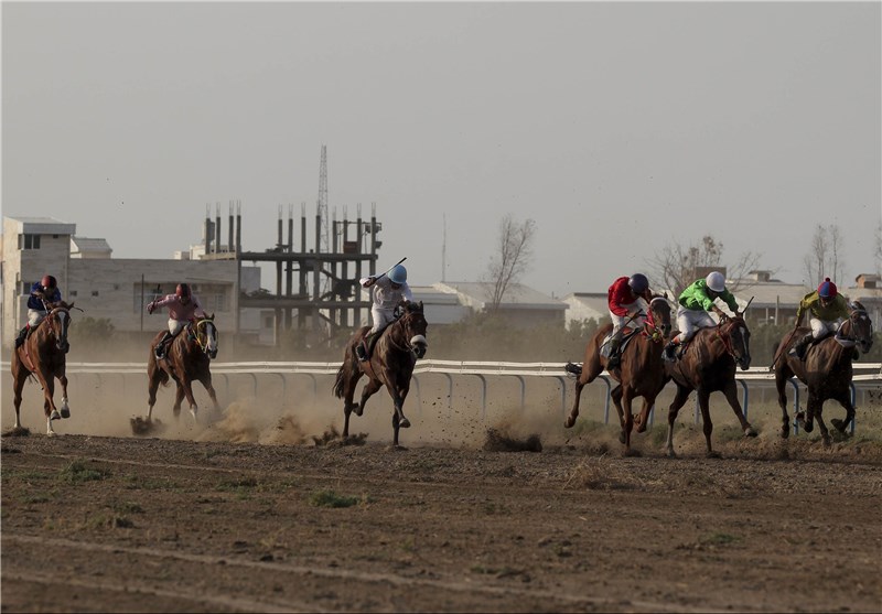 برگزاری هفته قهرمانی مسابقات اسب‌دوانی تابستانه در بندرترکمن