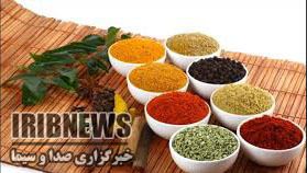 فعالیت بانوی کارآفرین مهاباد در زمینه کشت گیاهاه دارویی+گزارش