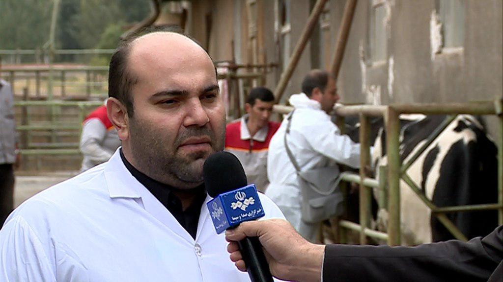 واکسیناسیون دام های آذربایجان شرقی علیه تب برفکی