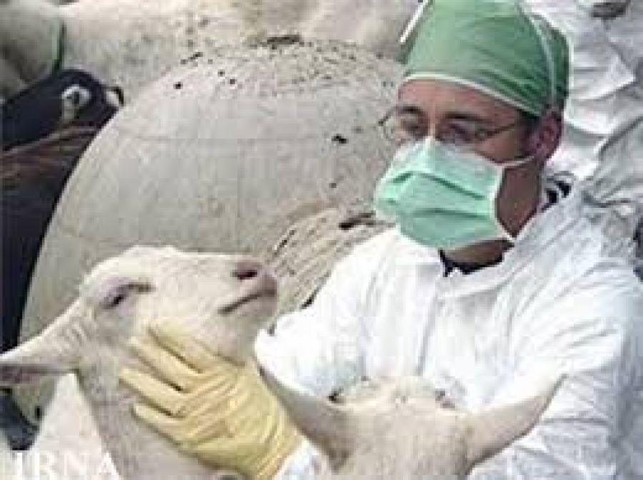 مروری بر تاریخچه دامپزشکی در ایران