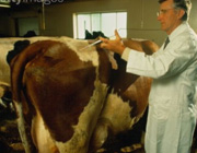 مروری بر تاریخچه دامپزشکی در ایران