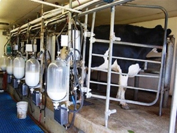 خرید تضمینی 20 هزار تن شیر در خراسان رضوی