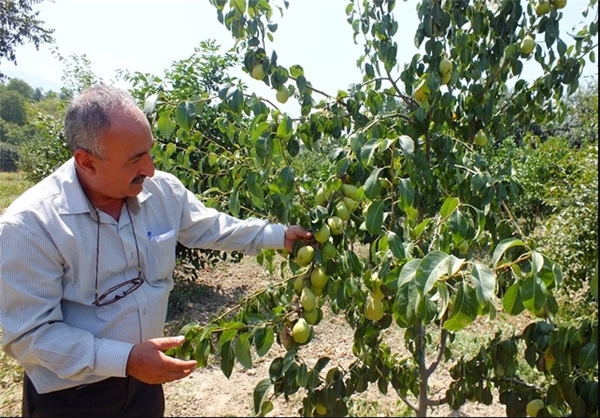 اعلام توصیه‌های هواشناسی به کشاورزان استان