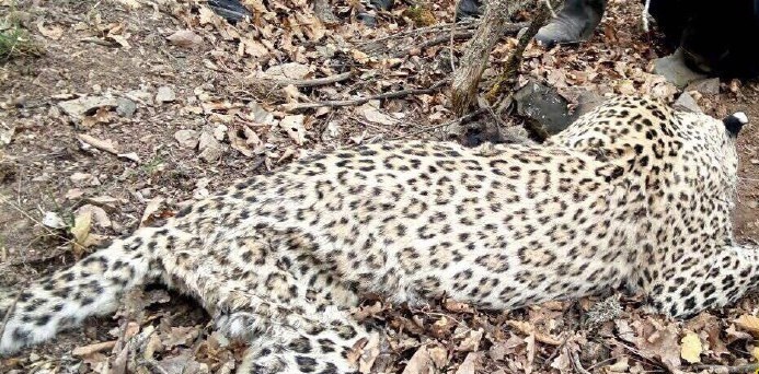 دستگیری نوعروس خیانتکاری که شوهرش را زنده به گور کرد تا اصغر جن گیر دستگیری نوعروس خیانتکاری که شوهرش را زنده به گور کرد تا اصغر جن گیر