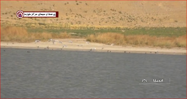 تالاب آب زالو در اندیکا+ گزارش