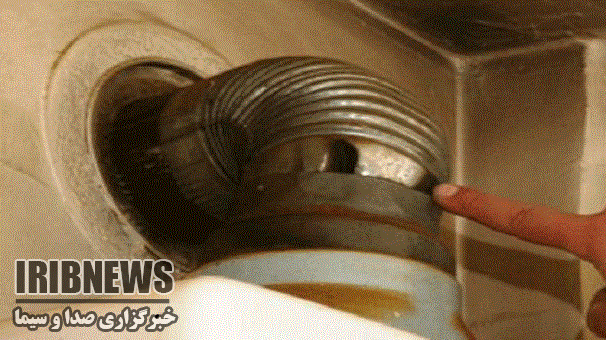 مرگ خاموش زوج خدابنده ای مرگ خاموش زوج خدابنده ای