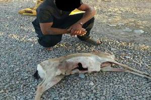 خودکشی دختر جوان یک خانواده تا حمله به فرد روحانی با قمه