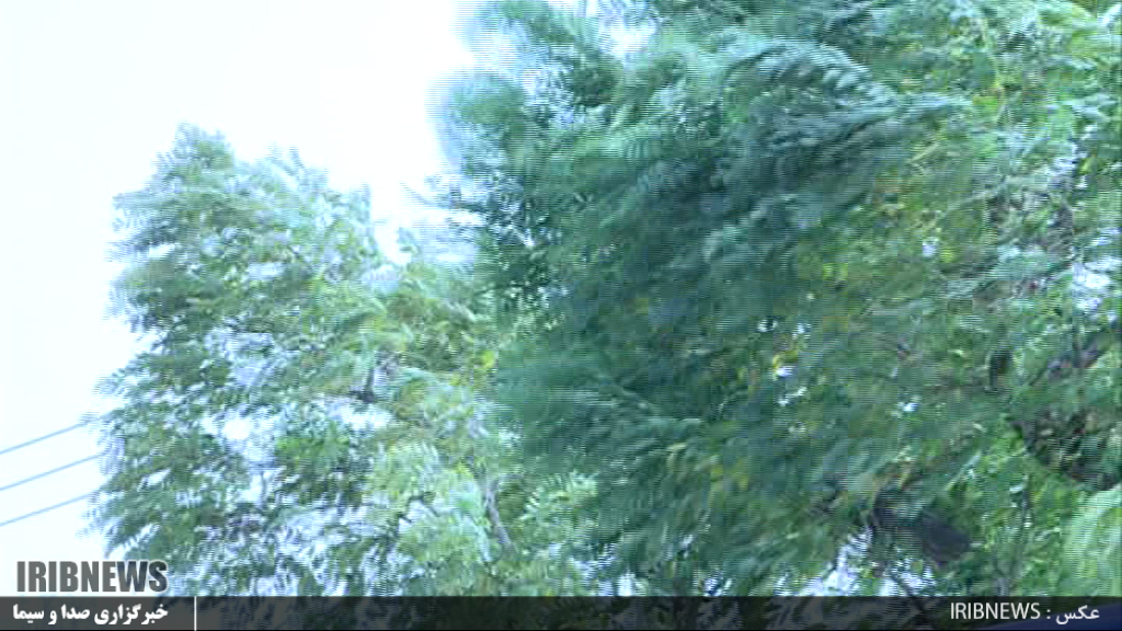 تندباد شدید مدارس، مراکز آموزشی و دانشگاههای اردبیل را به تعطیلی کشاند