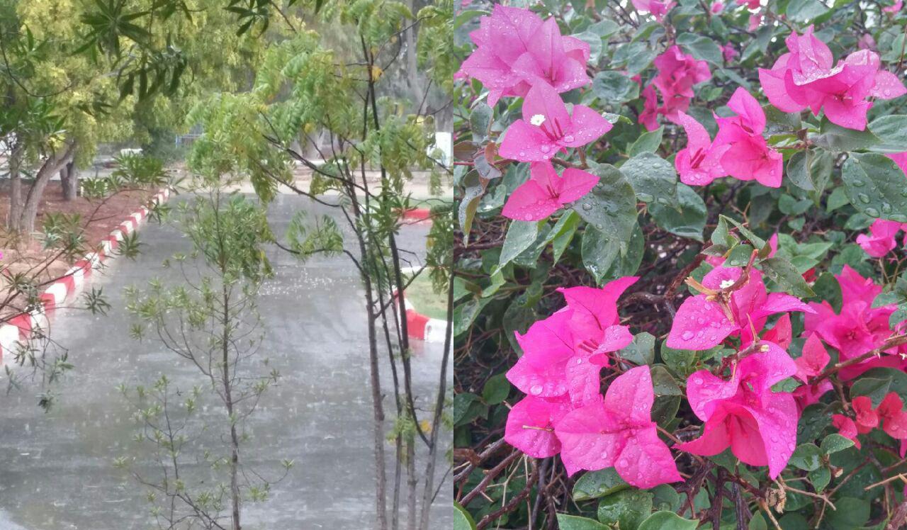 بارش نخستین باران پاییزی در کیش بارش نخستین باران پاییزی در کیش