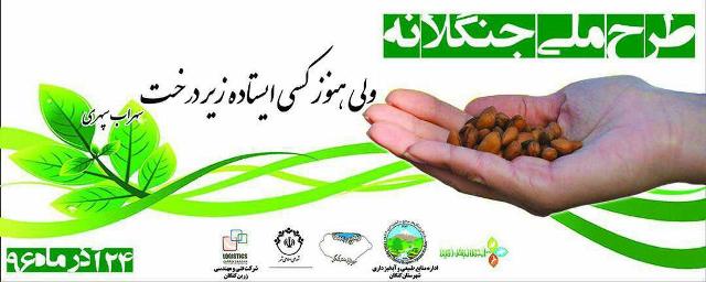 آغاز اجرای طرح جنگلانه