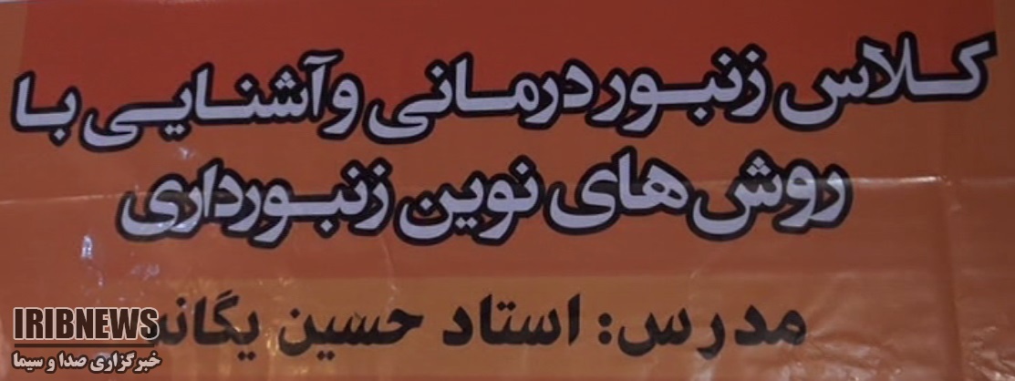 سقــــز به وقت عسل سقــــز به وقت عسل