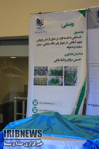 رونمایی ازدستاوردعلمی« هسته عاری ازویروس» در چهارمحال و بختیاری رونمایی ازدستاوردعلمی« هسته عاری ازویروس» در چهارمحال و بختیاری