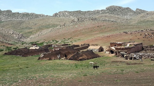 گزارش مکتوب ... کوچ در مسیر خشکسالی