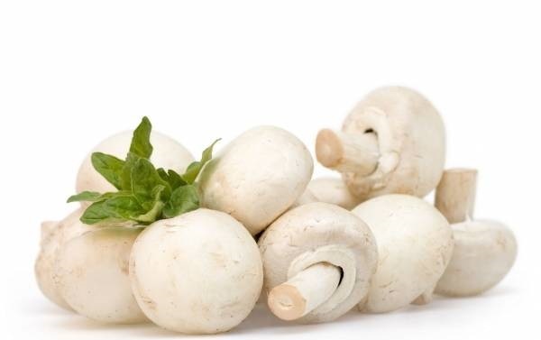 بلاهایی که مصرف زیاد «قارچ» سرتان می‌آورد