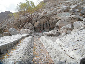 خشکیدن چشمه 