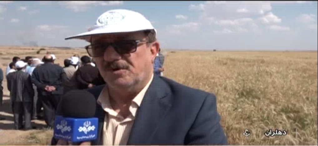 افزایش اراضی آبی استان به 38 هزار هکتار