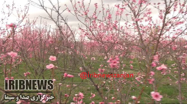 آسمان زنجان صاف تا قسمتی ابری آسمان زنجان صاف تا قسمتی ابری