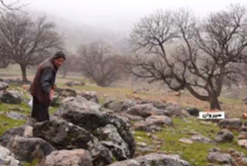 مهربانی &nbsp;با پرندگان &nbsp;