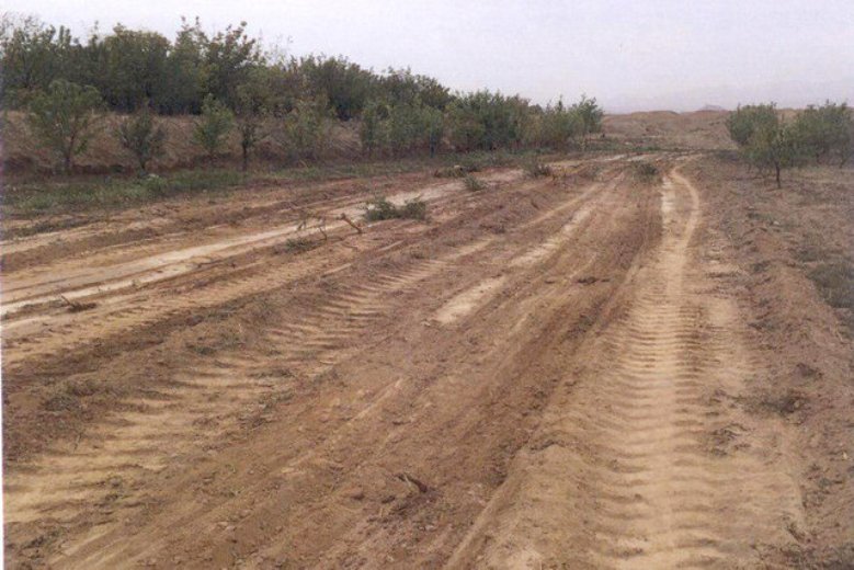 برملا شدن راز زنِ شوهر کُش