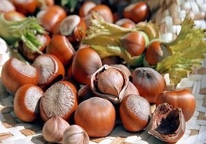 تولید سالانه ۳ هزار تن فندق خشک در قزوین تولید سالانه ۳ هزار تن فندق خشک در قزوین