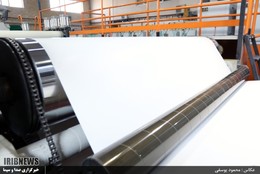 سنگ ها سپر بلای درختان   +تصاویر