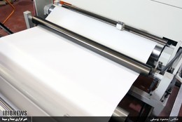 سنگ ها سپر بلای درختان   +تصاویر