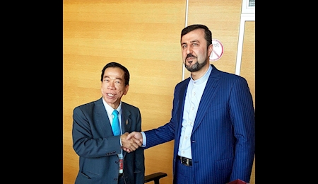 تأکيد غريب آبادي بر افزایش همکاری با هیات بین المللی کنترل مواد مخدر