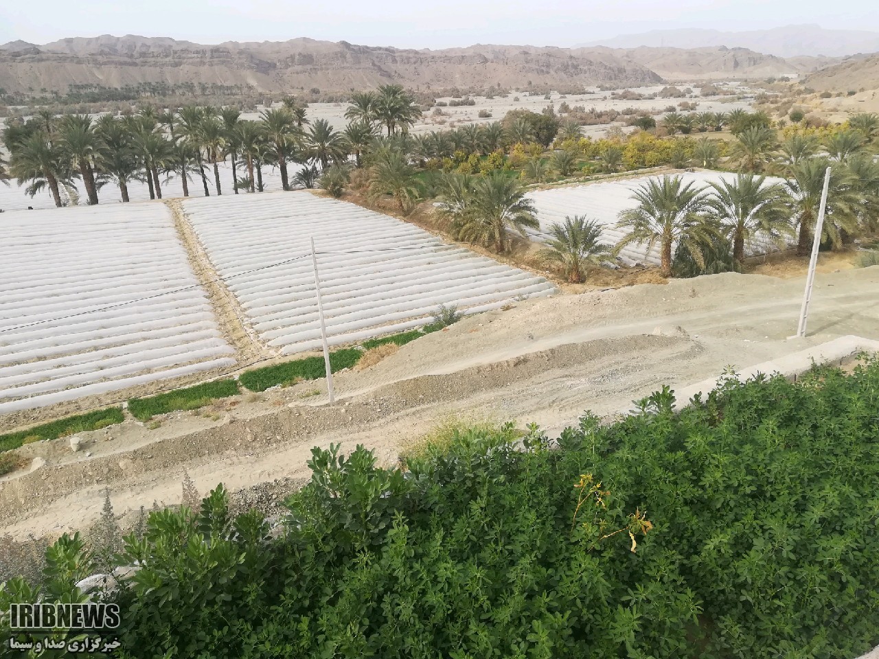 احیای قنات حسین آباد ایرانشهر