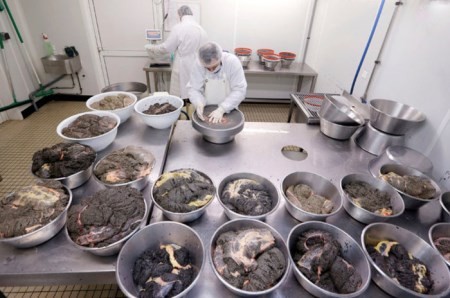 ارائه تسهیلات به پرورش دهندگان ماهیان خاویاری ارائه تسهیلات به پرورش دهندگان ماهیان خاویاری